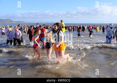 Lyme Regis, Dorset, Regno Unito. 1a gen, 2018. Centinaia si è rivelato in costume per il tradizionale nuovo anno giorno "affondo di Lyme' gara in mare. La manifestazione annuale è stato guardato da oltre un migliaio di spettatori che si sono riuniti a Lyme Regis Cobb Beach a sostegno dell'evento. Credito: Tom Corban/Alamy Live News Foto Stock