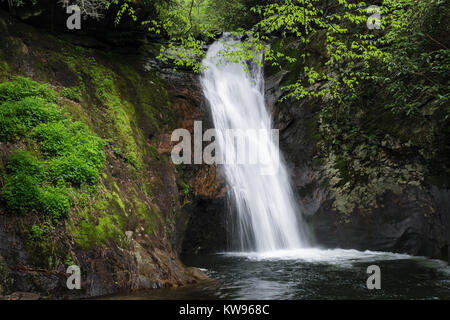 Courthouse Falls si trova nei pressi di balsamo Grove in western North Carolina in una zona conosciuta come il Devil's Courthouse. È raggiunto da una foresta strada di servizio fuori la Highway 215 (FR140) a sud di Blue Ridge Parkway. Essi sono di circa 40 metri in altezza. Foto Stock