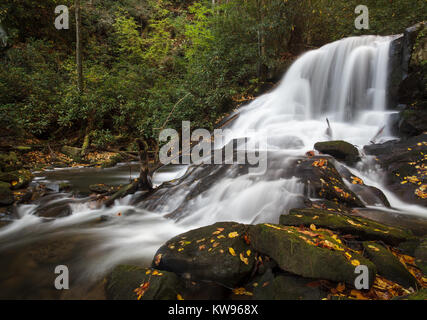 Wildcat Creek si trova nella zona nord-est di Georgia vicino la riva occidentale del Lago di Burton. Wildcat Creek Road segue il torrente per un bel po' di tempo e ci sono diverse piccole cascate lungo la strada. Questo è probabilmente il più impressionante caduta lungo la strada. Foto Stock