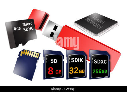 La memoria Flash è il tema di questa illustrazione assortita con dispositivi raffigurati che utilizzano la memoria flash. Nella foto sono le schede SD, micro SD thumb drive e Foto Stock