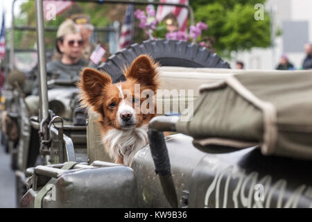 Celebrazioni della città liberata, città ceca di Plzen, Repubblica ceca di Pilsen Foto Stock