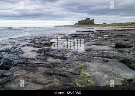 Il castello di Bamburgh sulla costa Northumbrian, Northumberland, England, Regno Unito Foto Stock