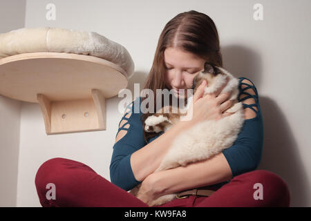 Giovane donna è abbracciando il suo punto di tenuta Birman cat, 9 mese vecchio gatto maschio con occhi blu Foto Stock