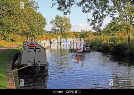 Stretto tradizionali imbarcazioni ormeggiate lungo piegare in Kennet & Avon Canal, Bathampton, bagno, Somerset Foto Stock