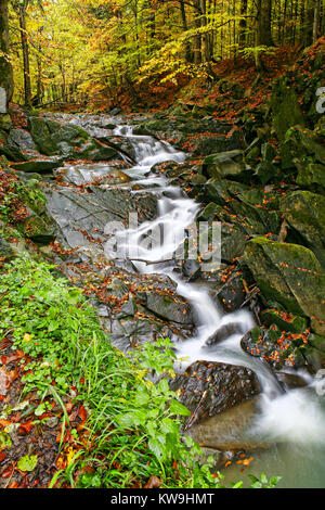 Polonia, Bieszczady, Hylaty stream Foto Stock