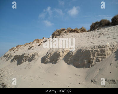 Le dune di sabbia e di erba marram sulla costa di Opal del nord della Francia Foto Stock