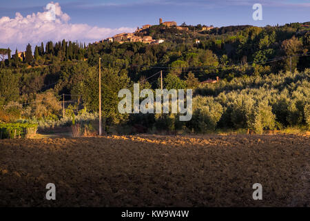 Casale Marittimo, Toscana, Italia, vista attraverso i vigneti di la prima alba luci Foto Stock