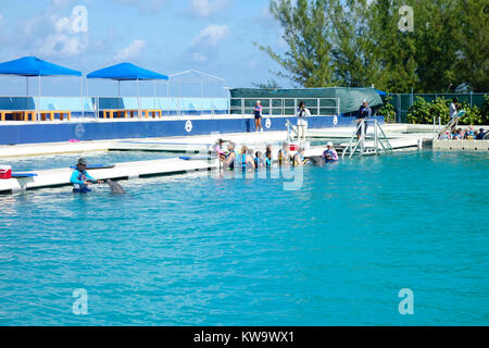 Dolphin Discovery, West Bay, a Grand Cayman. Foto Stock