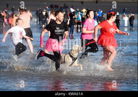 Esecuzione di nuotatori in mare a Barry Island il giorno di Anno Nuovo nuotare a Whitmore Bay, Vale of Glamorgan, South Wales, durante la trentaquattresima edizione annuale di Nuovo Anno Giorno nuotare, che inizialmente avviato quando cinque membri del Jacksons Bay Club bagnino deciso a scrollarsi di dosso i postumi della sbornia con un tuffo, da sommergere completamente se stessi per tre volte. Foto Stock