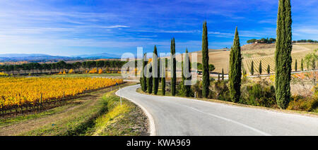 Impressionante paesaggio autunnale,vista con vigneti e cipressi,Toscana,l'Italia. Foto Stock