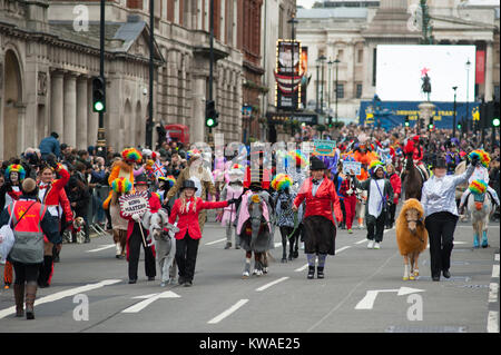 Il centro di Londra, Regno Unito. 1a gen, 2018. Londra la spettacolare Capodanno parata inizia a mezzogiorno in Piccadilly, rendendo la strada famosa West End arterie, finitura in piazza del Parlamento a 3.00pm. Tutti i cavalli del Queens Parade giù Whitehall. Credito: Malcolm Park/Alamy Live News. Foto Stock