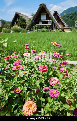 Tradizionali case Gassho e fiori d'estate nell'Unesco protetti villaggio di Shirakawa-go, Prefettura di Gifu, Giappone Foto Stock