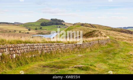 NORTHUMBERLAND, Inghilterra - Agosto 31, 2012: una sezione del Muro di Adriano nella verdeggiante campagna Northumberland dell'Inghilterra. Foto Stock