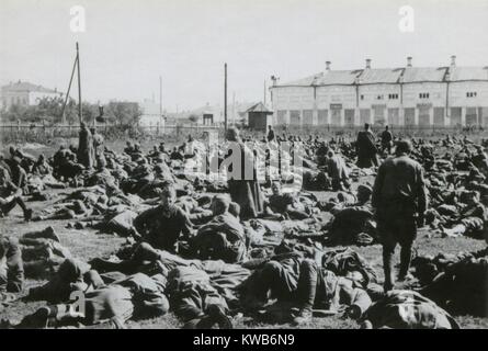 Prigionieri di guerra sovietici in un accampamento di Potschuz, URSS, catturati durante il funzionamento Barbarossa, 1941. Oltre 3 milioni di Soviet (Russo) soldati furono presi prigionieri dai tedeschi nel 1941 con una grande proporzione uccisi dai nazisti deliberata using. Guerra mondiale 2. (BSLOC 2014 8 21) Foto Stock