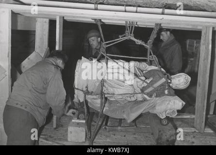 I soldati degli Stati Uniti Esercito MFAA Sezione Trasporto Michelangelo per il "La Madonna di Bruges". 'Monuments uomini" Stephen Kovalyak, George Stout e Thomas Carr Howe, fissare la scultura saccheggiato dai nazisti e recuperati presso il Kaiser Joseph miniera. Luglio 9, 1945. Questa illustrazione il furto è stato presentato in monumenti uomini, un 2014 film basato su Robert M. Edsel il libro. Guerra mondiale 2. (BSLOC 2014 10 283) Foto Stock