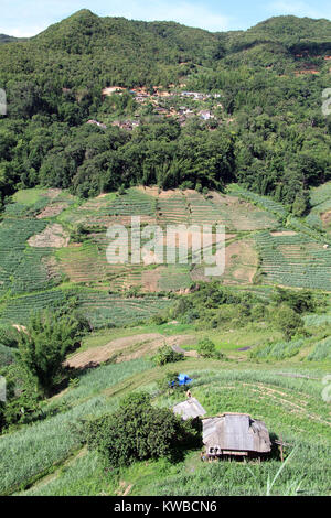 Villaggio sul monte e la piantagione di tè in Yunnan, Cina Foto Stock