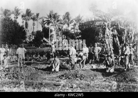 Tre uomini si inginocchiano davanti a loro tombe aperte su Guam nel 1941. Dietro di loro sono i soldati giapponesi circa di decapitarli con spade. La foto è stata fatta subito dopo il sequestro di Guam dai giapponesi. La foto è stata ottenuta nel 1945 da un soldato giapponese che ha detto che era circolata fra di loro per 'morale' scopi. Guerra mondiale 2. (BSLOC 2015 13 116) Foto Stock