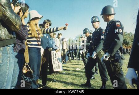 Dimostratore femmina offre un fiore di polizia militare durante il 1967 marzo sul Pentagono. 50.000 Guerra Anti-Vietnam dimostranti sono stati guidati da Abbie Hoffman e sfilato dal Lincoln Memorial al Pentagono il 21 ottobre 1967. (BSLOC 2015 14 137) Foto Stock