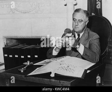 Il presidente Franklin Roosevelt dopo la sua 1936 rielezione, con la sua collezione di francobolli, un hobby preferito. La Casa Bianca di Washington, D.C. (BSLOC 2015 2 248) Foto Stock