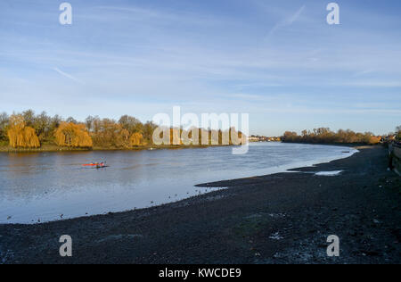 Il fiume Tamigi in Barnes South West London REGNO UNITO Foto Stock