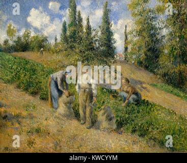 Il raccolto di Pontoise da Camille Pissarro, 1881, impressionista francese pittura, olio su tela. Il tema del raduno di patate si ripresenta in Pissarro, le opere di collegamento di lui per il realista pittori del 1840-1850S, mentre le piccole pennellate anticipare il suo puntinismo e neo-impressionismo (BSLOC 2017 3 58) Foto Stock