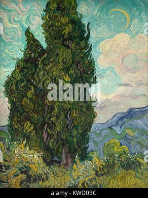 Cipressi di Vincent Van Gogh, 1889, olandese Post-Impressionist, olio su tela. Van Gogh descritto il cipresso come il dark patch in una soleggiata paesaggio. Essa è stata illustrata nel Salon des indipendenti a Parigi nel 1890. (BSLOC 2017 5 54) Foto Stock