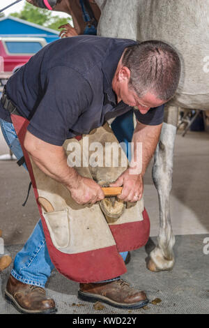 Un maniscalco facendo una vestibilità personalizzata a ferro di cavallo, DELAWARE, STATI UNITI D'AMERICA - maggio 2008. Un maniscalco è uno specialista del piede del cavallo cure, compresi la rifilatura e bilanciamento del carico Foto Stock