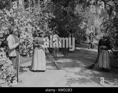 African American bidelli al Magnolia Plantation e giardini in Charleston, Sc. Le spazzatrici tenere scope grezzo fatto di rametti. Dopo la guerra civile, il Drayton orti familiari sono stati aperti al pubblico per guadagnare soldi come attrazione turistica. Foto di Jackson, William Henry (BSLOC 2017 20 99) Foto Stock