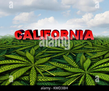 California cannabis e marijuana californiano concetto come una pentola di legge simbolo con foglie di erbacce come sfondo una legalizzazione delle droghe ricreative. Foto Stock