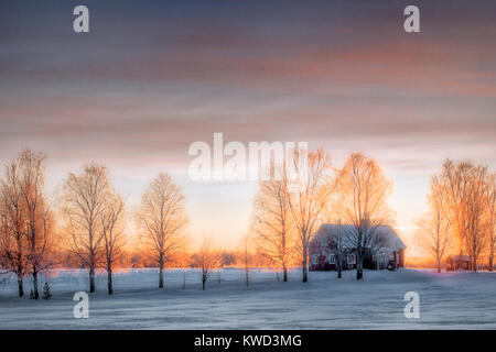 Rosso svedese cottage vicino a Lulea, Lapponia svedese, Svezia, Europa Foto Stock