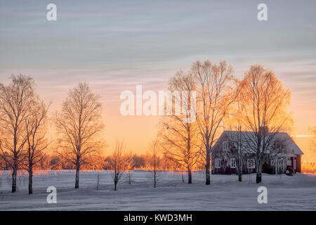 Rosso svedese cottage vicino a Lulea, Lapponia svedese, Svezia, Europa Foto Stock