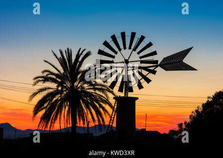 Il mulino a vento e il Palm Tree sulla campagna in Mallorca al tramonto Foto Stock