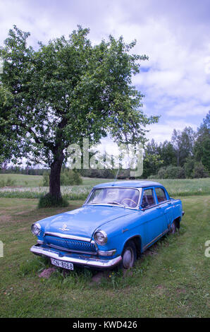 Un vecchio blu auto sovietica GAZ nel verde di un campo di erba sotto un albero Foto Stock