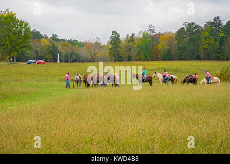 Chickamauga e Chattanooga National Military Park si trova in Georgia e Tennessee ed è stato uno dei più battaglie decisive della guerra civile. Foto Stock