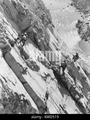 Otto uomini al lavoro in alto sulla roccia della parete del canyon, la trapanatura di fori per la dinamite. Essi sono la costruzione di Hungry Horse Dam in Montana in 1949. (BSLOC 2014 13 227) Foto Stock