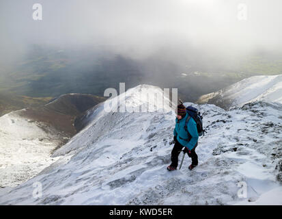 Walker quasi alla sommità del salone della cresta cadde su Blencathra in condizioni invernali, Lake District, Cumbria, Regno Unito Foto Stock