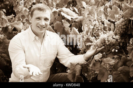 Ritratto di Allegro uomo nei pressi di uve in vigna in estate Foto Stock