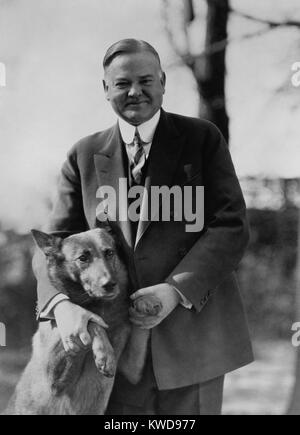 Il presidente Herbert Hoover con il suo pastore belga, King Tut, nel 1928. La foto è stata fatta durante la Hoover 1928 campagna presidenziale di presentare un più piacevole immagine della Hoover riservata. Il New York Times lo ha chiamato "uno dei più felici immagini mai fatta " di Hoover. (BSLOC 2015 16 52) Foto Stock