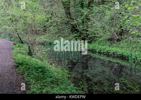 Alzaia lungo la Severn in disuso e Thames Canal vicino a Hove, Gloucestershire, Regno Unito Foto Stock