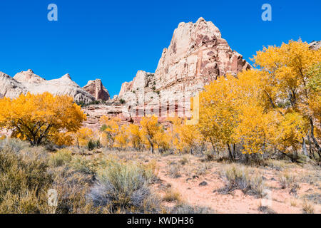 In autunno il Fruita storico quartiere di Capitol Reef National Park nello Utah Foto Stock