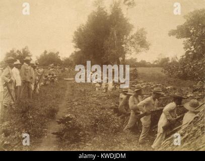 Rivoluzionario filippino fuoco soldati nelle trincee in Malate, Filippine, nel febbraio 1899. Questo fu l inizio della guerra Philippine-American, richiesto da noi la negazione di Filippino rivendicazioni di indipendenza nazionale (BSLOC 2017 10 70) Foto Stock