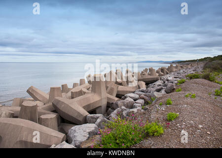 Tetrapods difesa dal mare sulla costa settentrionale del Galles a Llanddulas REGNO UNITO Foto Stock