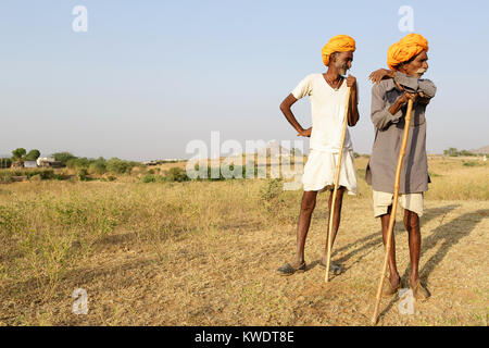 Due i commercianti del cammello in arancione turbanti con le loro greggi che pascolano nella boccola vicino annuale di Pushkar Camel fair, Pushkar, Rajasthan, India Foto Stock