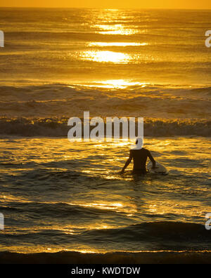 Un surfista entra le onde a sunrise in Florida. Foto Stock