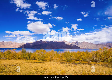 Pangong Lake è un lago endorheic dell'Himalaya Foto Stock