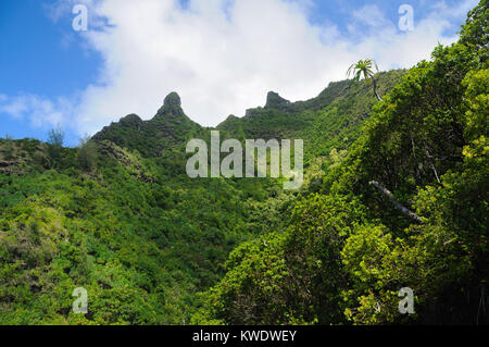 Questa foto è stata scattata di scogliere lungo la costa di Na Pali sull'isola di Kauai Foto Stock