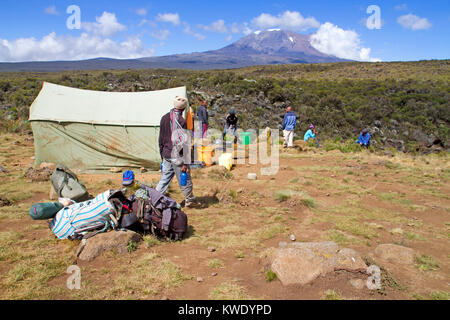 I facchini di camp a Shira uno sul Monte Kilimanjaro Foto Stock