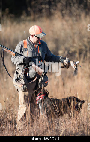 Un cacciatore di quaglia in Kanas su un tardo pomeriggio autunnale Foto Stock
