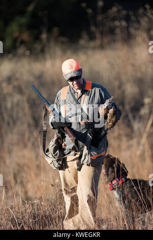 Un cacciatore di quaglia in Kanas su un tardo pomeriggio autunnale Foto Stock