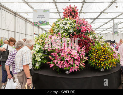 I visitatori del tendone floreali dei giardinieri' mondo evento live al NEC di Birmingham, UK. Ampio display di varie specie di giglio. Foto Stock